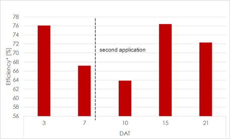 Protac SF efficiency on spider mites